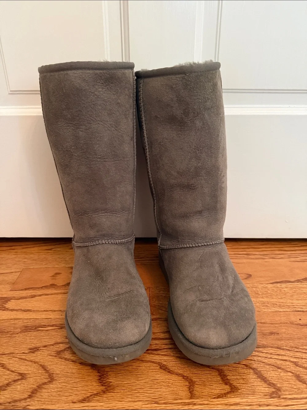 UGG Tall Gray Boots